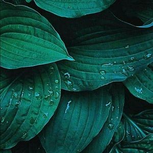 Meet your Posher, Elly